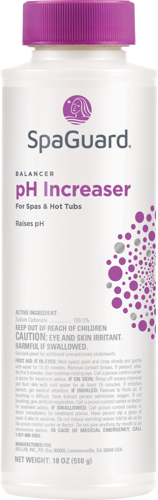Spaguard pH Increaser (18 oz)