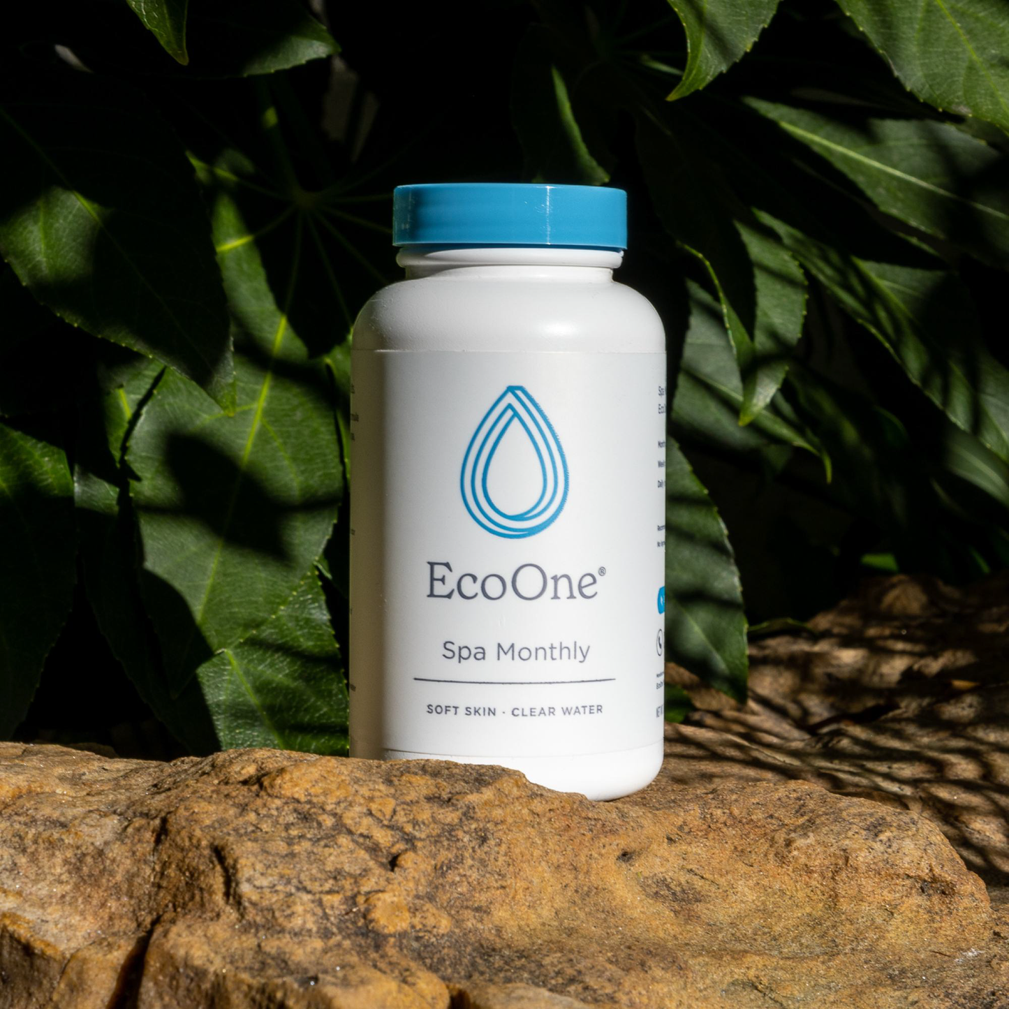 ecoone® Spa Monthly